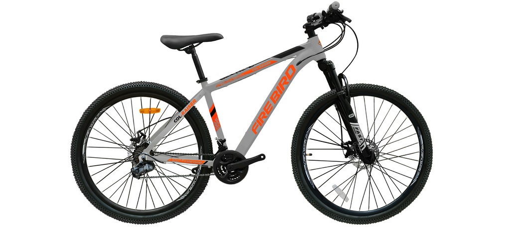 Bicicleta R29 Mtb Aluminio Horq. Susp. 21Vel. Fast F.Disco-Doble Pared - FIRE BIRD - Hombre