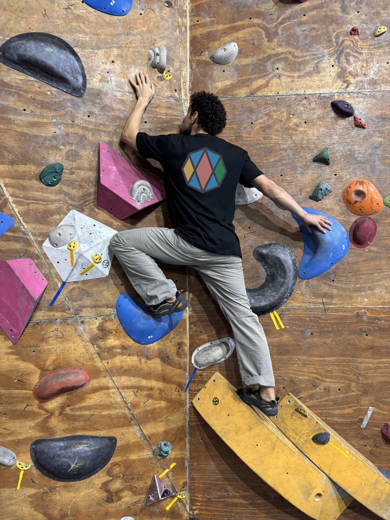 PRE-VENTA | REMERA UNISEX