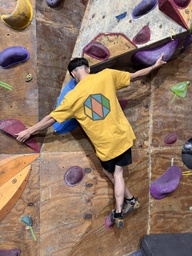 PRE-VENTA | REMERA UNISEX