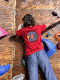 PRE-VENTA | REMERA ENTALLADA